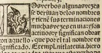 An illustration from Arte de la lengua Mexicana y Castellana (1571)