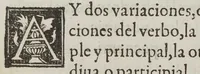 An illustration from Arte mexicana : compvesta por el padre Antonio del Rincon de la compañia de Iesus. Dirigido al illustrissimo y reuerendissimo S. don Diego Romano... (1595)
