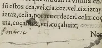 An illustration from Arte mexicana : compvesta por el padre Antonio del Rincon de la compañia de Iesus. Dirigido al illustrissimo y reuerendissimo S. don Diego Romano... (1595)
