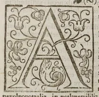 An illustration from Espeio divino en Lengva Mexicana : en qve pveden verse los padres, y tomar documento para acertar a doctrinar bien a sus hijos, y aficionallos alas... (1607)
