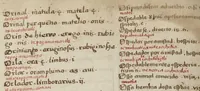 An illustration from Dictionarium ex Hisniensi in Latinum sermonem (1540)