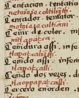 Picture 12 of 14 from Dictionarium ex Hisniensi in Latinum sermonem (1540), leaf 295