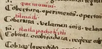 An illustration from Dictionarium ex Hisniensi in Latinum sermonem (1540)