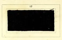 An illustration from Azonine auf Azetatseide = Azonines on acetate silk = Azonine sur soie acetate (1890)