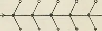 An illustration from Body and mind; a history and a defense of animism (1920)