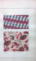 An illustration from [Oriental textile pattern book] (1905)
