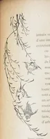 Picture 4 of 12 from Le Japon artistique : documents d'art et d'industrie. Vol 1 (1891), leaf 114