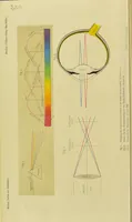 Picture 1 of 3 from Farben und Schöpfung [electronic resource] : acht Vorlesungen über die Beziehungen der Farben zum Menschen und zur Natur (1881), leaf 8