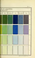 Picture 16 of 17 from Du diagnostic des maladies des yeux par la chromatoscopie rétinienne : précédé d'une étude sur les lois physiques et physiologiques des couleurs / par X. Galezowski (1868), leaf 271