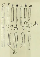 Picture 7 of 17 from Du diagnostic des maladies des yeux par la chromatoscopie rétinienne : précédé d'une étude sur les lois physiques et physiologiques des couleurs / par X. Galezowski (1868), leaf 88
