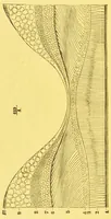 An illustration from La lumiÃ¨re et les coleurs au point de vue physiologique [electronic resource] (1888)