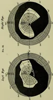 An illustration from Colour vision [electronic resource] : being the Tyndall lectures delivered in 1894 at the Royal Institution (1895)