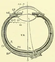 An illustration from Colour vision [electronic resource] : being the Tyndall lectures delivered in 1894 at the Royal Institution (1895)