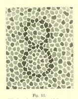 An illustration from Die StÃ¶rungen des Farbensinnes [electronic resource] : ihre klinische Bedeutung und ihre Diagnose (1912)