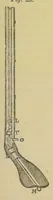 Picture 11 of 12 from Recreations in science and natural philosophy: Dr. Hutton's translation of Montucla's edition of Ozanam [electronic resource] (1844), leaf 679