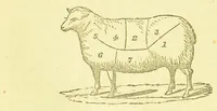 An illustration from Consult me, to know how to cook meats, poultry, fish, game, vegetables, soups, gravies, sauces, meat pies, puddings, food for the sick, &c.; consult me on confectionary ... consult me on household management and economy; ... consult me on diseases and their remedies ... consult me on how to dye ... consult me also on a thousand other things (1870)