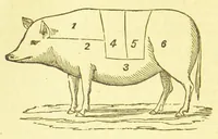 Picture 4 of 7 from Consult me, to know how to cook meats, poultry, fish, game, vegetables, soups, gravies, sauces, meat pies, puddings, food for the sick, &c.; consult me on confectionary ... consult me on household management and economy; ... consult me on diseases and their remedies ... consult me on how to dye ... consult me also on a thousand other things (1870), leaf 326