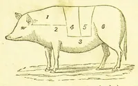 Picture 5 of 9 from Consult me, to know how to cook meats, poultry, fish, game, vegetables, soups, gravies, sauces, meat pies, puddings, food for the sick, &c.; consult me on confectionary ... consult me on household management and economy; ... consult me on diseases and their remedies ... consult me on how to dye ... consult me also on a thousand other things (1868), leaf 326