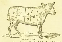 An illustration from Consult me, to know how to cook meats, poultry, fish, game, vegetables, soups, gravies, sauces, meat pies, puddings, food for the sick, &c.; consult me on confectionary ... consult me on household management and economy; ... consult me on diseases and their remedies ... consult me on how to dye ... consult me also on a thousand other things (1868)