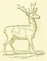 An illustration from Consult me, to know how to cook meats, poultry, fish, game, vegetables, soups, gravies, sauces, meat pies, puddings, food for the sick, &c.; consult me on confectionary ... consult me on household management and economy; ... consult me on diseases and their remedies ... consult me on how to dye ... consult me also on a thousand other things (1868)