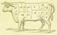 An illustration from Consult me, to know how to cook meats, poultry, fish, game, vegetables, soups, gravies, sauces, meat pies, puddings, food for the sick, &c.; consult me on confectionary ... consult me on household management and economy; ... consult me on diseases and their remedies ... consult me on how to dye ... consult me also on a thousand other things (1868)