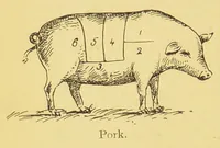 An illustration from The household oracle : a popular referee on subjects of household enquiry : including: - house building, buying and renting; house furnishing and decoration; housekeeping and domestic cookery; plain and fancy needlework; home farming, gardening, medicine; law; an epitome of the history of the world and the growth of the human family; the formation of our mother tongue and the rules of English grammar; a dictionary of religions; stepping stones of English history and a sketch of the English constitution setting forth the rights, privileges and duties of the English householder parochial, municipal, imperial; the story of the calendar, standards of weights and measures; arithmetical tables and tables of interest and a ready reckoner; household amusements, games, chess, cards and other indoor games, dancing, swimming, etiquette, ... (1897)