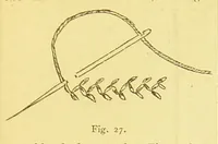 An illustration from The household oracle : a popular referee on subjects of household enquiry : including: - house building, buying and renting; house furnishing and decoration; housekeeping and domestic cookery; plain and fancy needlework; home farming, gardening, medicine; law; an epitome of the history of the world and the growth of the human family; the formation of our mother tongue and the rules of English grammar; a dictionary of religions; stepping stones of English history and a sketch of the English constitution setting forth the rights, privileges and duties of the English householder parochial, municipal, imperial; the story of the calendar, standards of weights and measures; arithmetical tables and tables of interest and a ready reckoner; household amusements, games, chess, cards and other indoor games, dancing, swimming, etiquette, ... (1897)