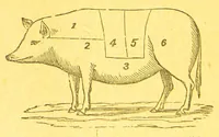 An illustration from Consult me : how to cook... on confectionery... how to brew... on household management and economy... on diseases and their remedies... on games of cards, chess... how to dye... consult me as to married women's property... on the cold water cure, and on a thousand other things (1902)