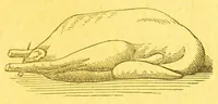 An illustration from Consult me : how to cook... on confectionery... how to brew... on household management and economy... on diseases and their remedies... on games of cards, chess... how to dye... consult me as to married women's property... on the cold water cure, and on a thousand other things (1902)