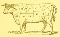 An illustration from Consult me : how to cook... on confectionery... how to brew... on household management and economy... on diseases and their remedies... on games of cards, chess... how to dye... consult me as to married women's property... on the cold water cure, and on a thousand other things (1902)