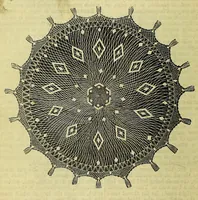 Picture 2 of 7 from Enquire within upon everything : to which is added Enquire within upon fancy needlework (1872), leaf 378