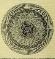 Picture 3 of 7 from Enquire within upon everything : to which is added Enquire within upon fancy needlework (1872), leaf 380