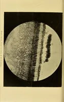 An illustration from The physical and physiological basis of color [electronic resource] (1894)