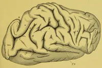An illustration from Ueber Das Sehen der Farbenblindheit [electronic resource] (1880)