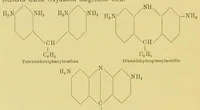An illustration from Chemie der organischen Farbstoffe (1889)