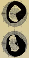 An illustration from Colour vision : being the Tyndall lectures delivered in 1894 at the Royal Institute (1895)