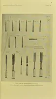 Picture 1 of 7 from Japanese wood-cutting and wood-cut printing (1894), leaf 11