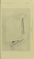 Picture 4 of 7 from Japanese wood-cutting and wood-cut printing (1894), leaf 37