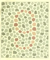 An illustration from Pseudo-isochromatische Tafeln für die Prüfung des Farbensinnes (1883)