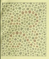Picture 5 of 8 from Pseudo-isochromatische Tafeln für die Prüfung des Farbensinnes (1883), leaf 17