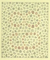 Picture 6 of 8 from Pseudo-isochromatische Tafeln für die Prüfung des Farbensinnes (1883), leaf 17