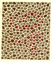 An illustration from Pseudo-isochromatische Tafeln für die Prüfung des Farbensinnes (1889)
