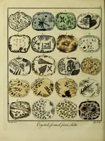 An illustration from A key to physic, and the occult sciences. Opening to mental view, the system and order of the interior and exterior heavens; the analogy betwixt angels and the spirits of men; and the sympathy between celestial and terrestrial bodies ... To which are added, lunar tables, calculated from sidereal motion; exhibiting, upon the most simple yet unerring construction, the actual moment of the crisis of every disease, and the consequent termination thereof, whether for life or death. The whole forming an interesting supplement to Culpeper's family physician, and display of the occult sciences ... (1814)