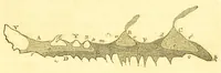 An illustration from Letters on natural magic, addressed to Sir Walter Scott, bart (1834)