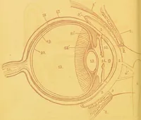 An illustration from Sound & colour : their relations, analogies & harmonies (1869)