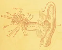 An illustration from Sound & colour : their relations, analogies & harmonies (1869)