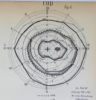 Picture 1 of 3 from Studien über angeborene Farbenblindheit (1879), leaf 297