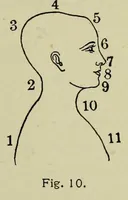 An illustration from Studies in auditory and visual space perception (1901)