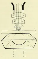 An illustration from Handbook of photomicrography (1913)