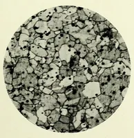 Picture 8 of 9 from Handbook of photomicrography (1913), leaf 337